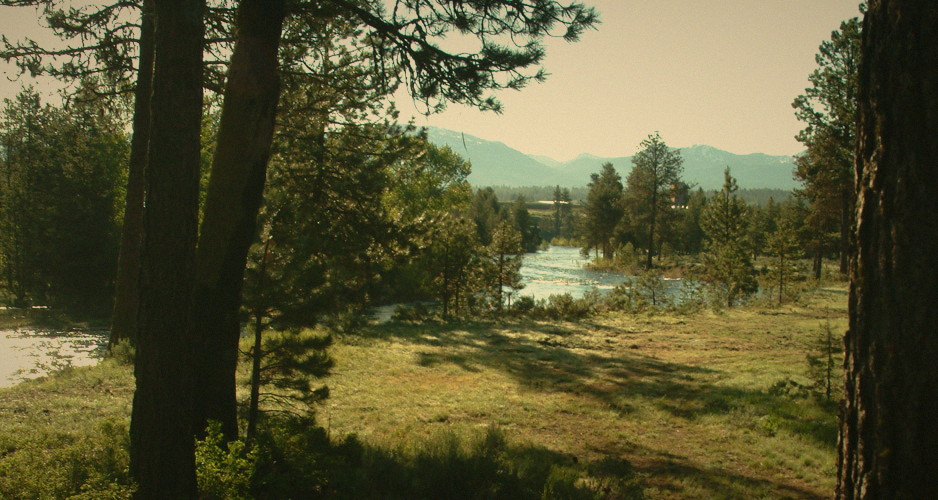 Payette River through pines, with mountains beyond